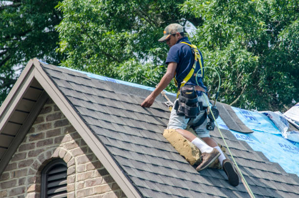 Best Roof Leak Repair  in Battle Ground, IN